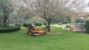 Ride On Mowing Templestowe