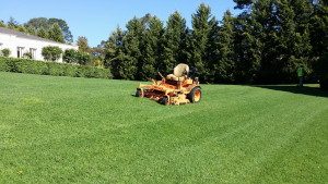 Ride On Mowing - Acre Lawns 2