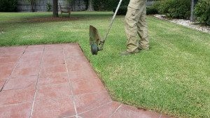 Edging a Lawn with Brush cutter