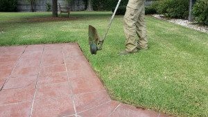 Lawn-Mowing-Edging