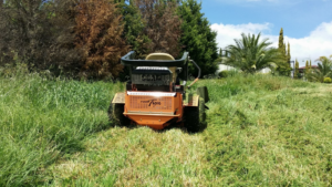 Lawn Mowing