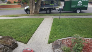 Lawn Mowing Balwyn